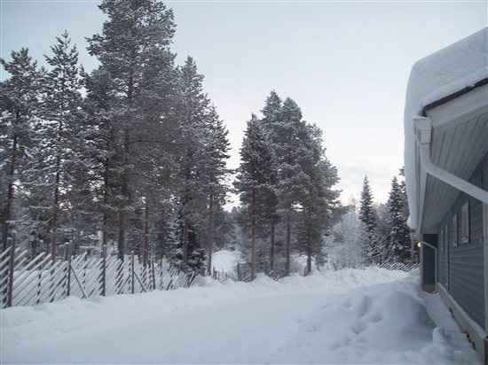 Re: JayneE wedding report from Lapland.