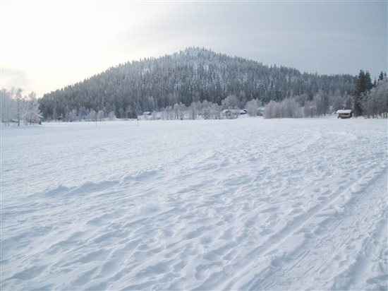 Re: JayneE wedding report from Lapland.