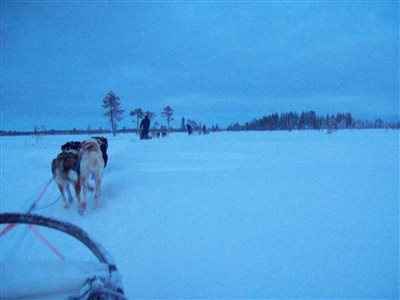 JayneE Lapland Wedding encore!  More pics.