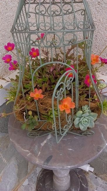 A use for old birdcages