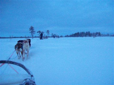 JayneE Lapland Wedding encore!  More pics.
