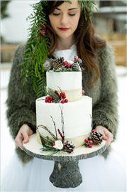 Re: found my cake.  Flash.