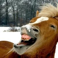 Re: Done before, but chair covers- yay or nay?