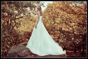 Re: Trash the Dress/Love the Dress Photo Shoot.....