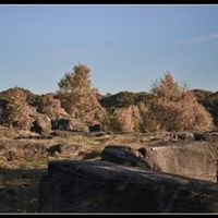 Re: Trash the Dress/Love the Dress Photo Shoot.....