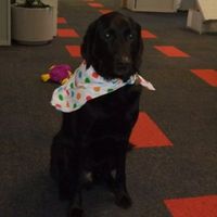 Re: Otters Pet picture flash!