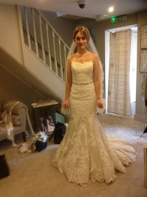 Hi ladies - dress opinions..Much appreciated! *flash*