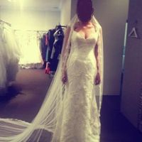 24 days to go with flashes!