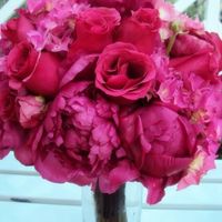 24 days to go with flashes!