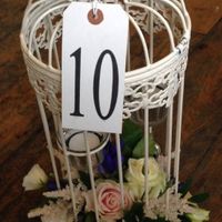 Re: August 2014 brides??