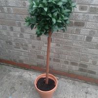 Wedding Items for Sale - Cambridgeshire