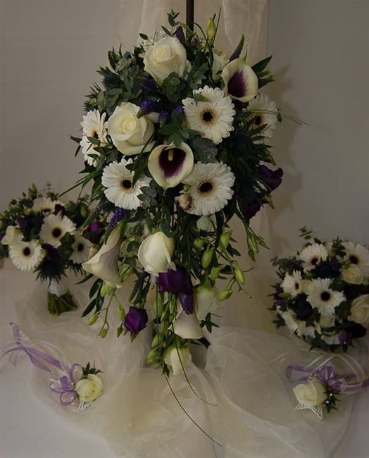 B2B *FLASH* Just over 7 months to go!