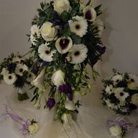 B2B *FLASH* Just over 7 months to go!