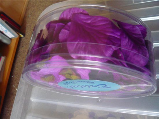 purple artificial rose petals
