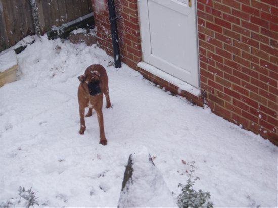 Re: OT - putting the 'W' word to one side - who are you?