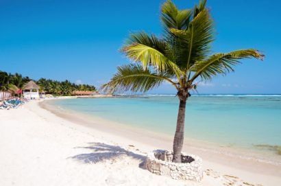 Booked Honeymoon **Flash**