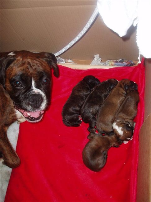 Re: THE BABIES HAVE ARRIVED...