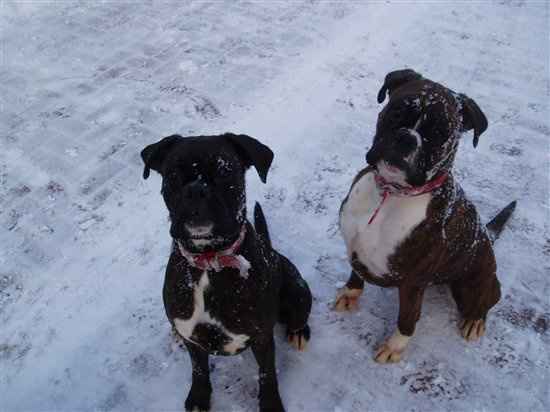 Re: Flash Me Friday?