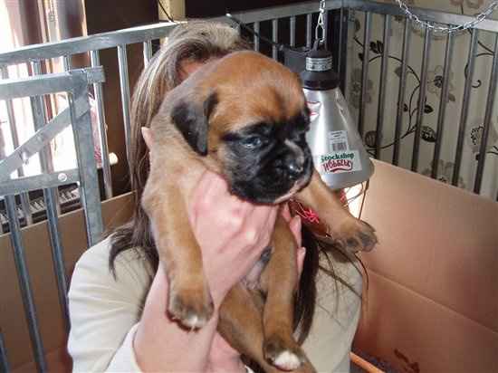 Re: Flash Me Friday?