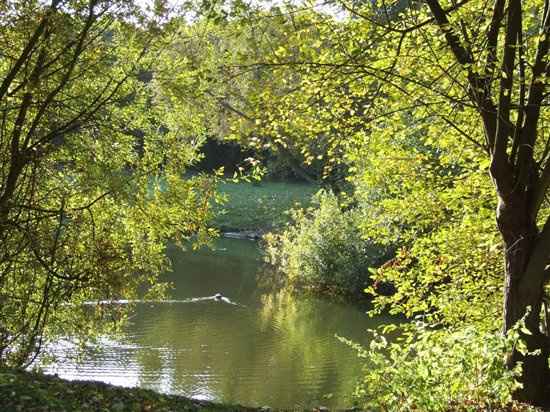 Re: Wedding Venue *Flash*