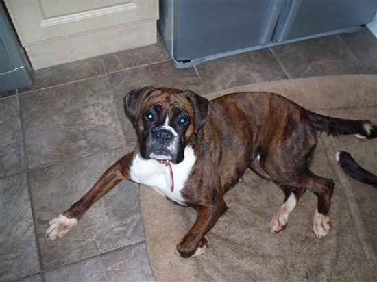 FAO Trickers.... **With Flash**