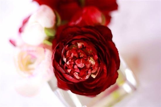 Jenny packham table decorations for sale and gothic style photo frames