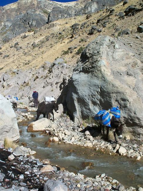 Re: Morning ladies ? I'm back!!