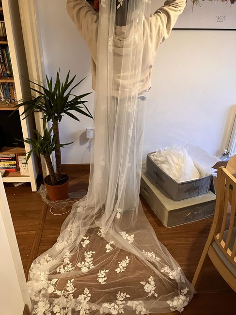 Amalfi Wedding Dress + Veil 6