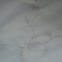 BRAND NEW EX DISPLAY DRESSES  X 2 £200 EACH  PICS IN HERE...
