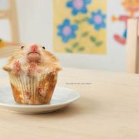 Re: 'Controversial posts'