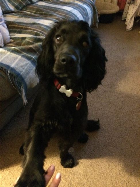 Re: Show me your pets