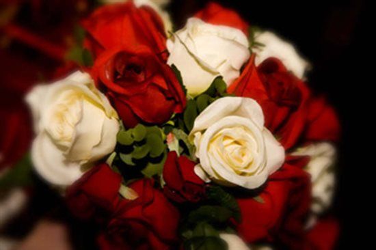 Re: Sourceing Wedding Flowers between Christmas and New Year!!!! Help