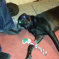 Re: ****Official Secret Otter Opening Weekend****