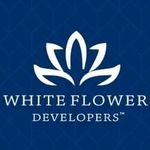 Whiteflowerdeveloper