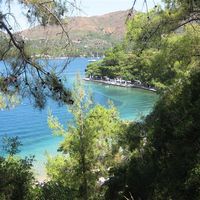 *** Honeymoon Flash - Agentblackcat ***