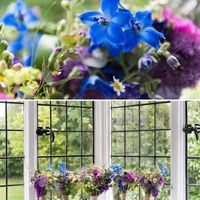 6 Months to go flash!