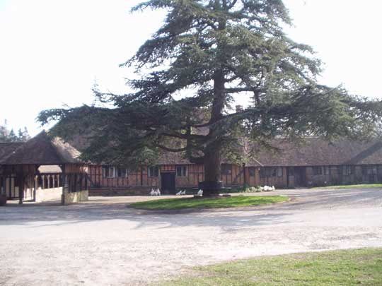 Re: Hello... and oh dear!