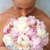 Re: Summer theams?????