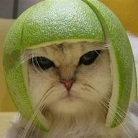 Re: Friday Night - Flash What You Want