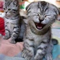 Re: Friday Night - Flash What You Want