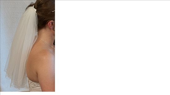 Re: Short ivory veil with scattered crystals