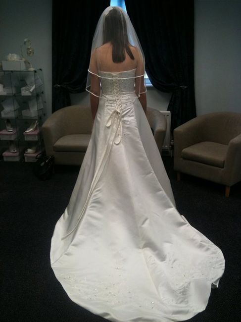 Final Dress Fitting! *FLASH*!