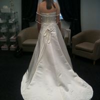 Final Dress Fitting! *FLASH*!