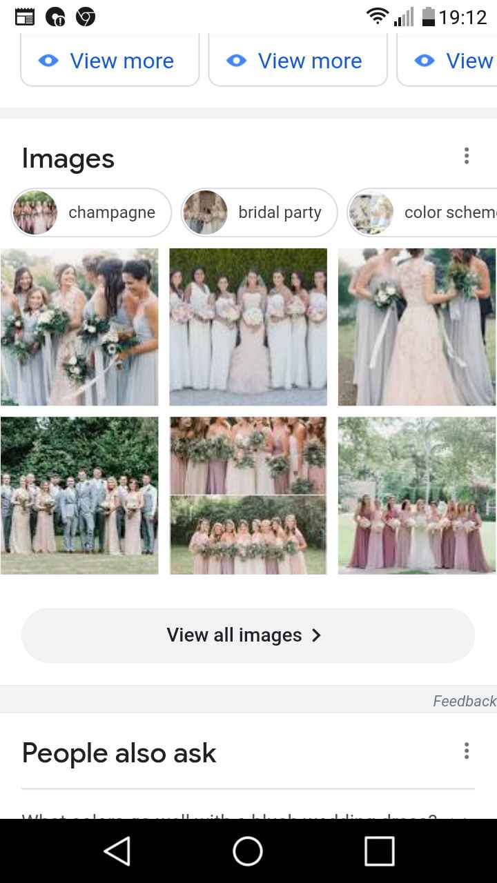 Blush wedding dress - what colour bridesmaid dresses? 2