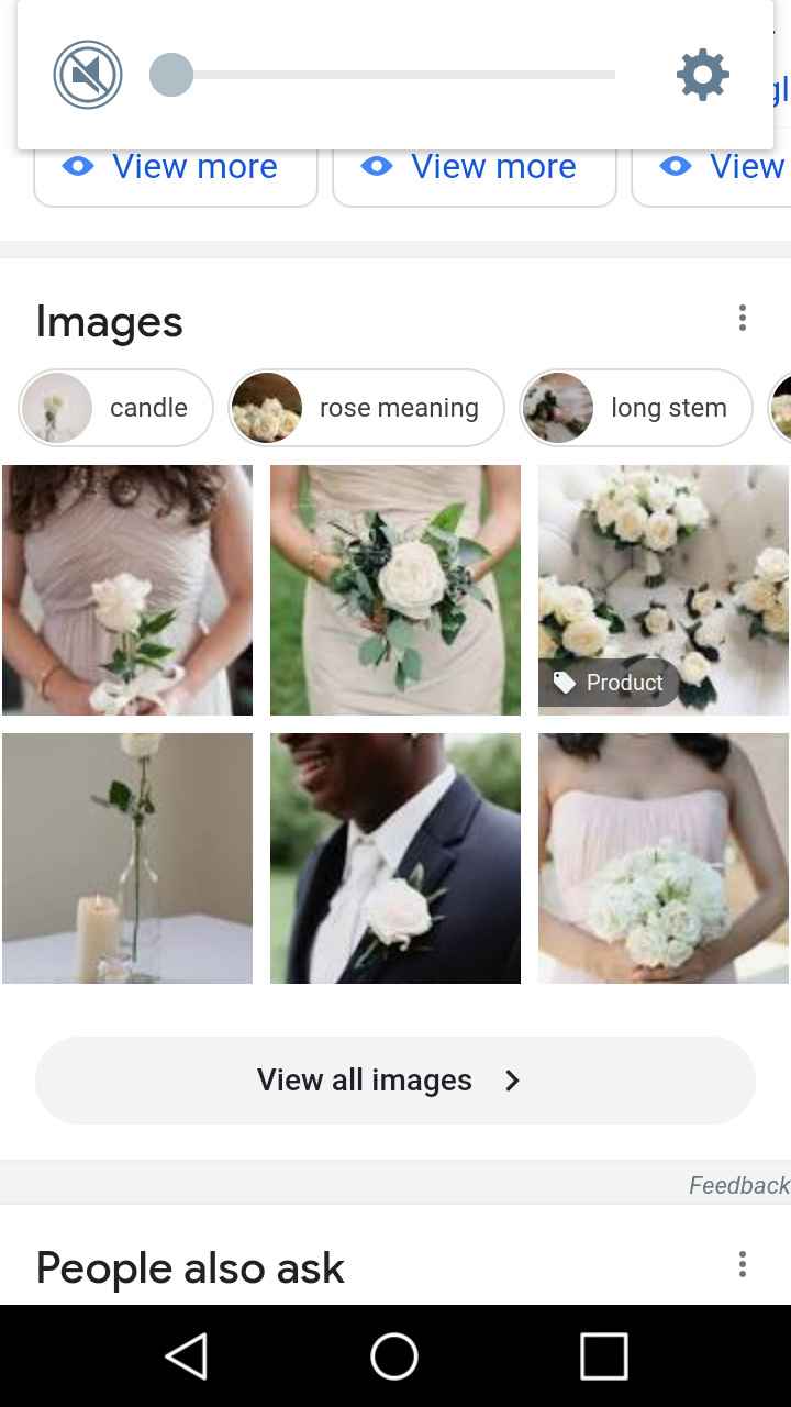 Single white rose - 1