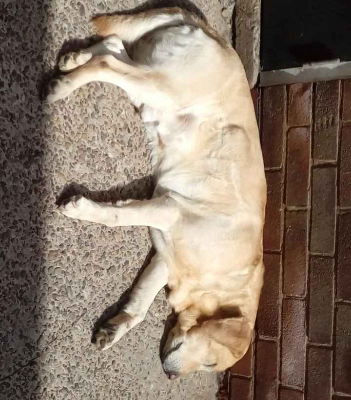 April 2022 brides - 1