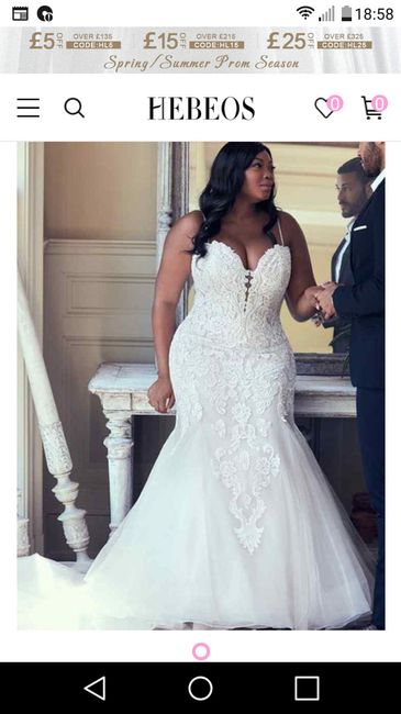 i chose my dress! - 1