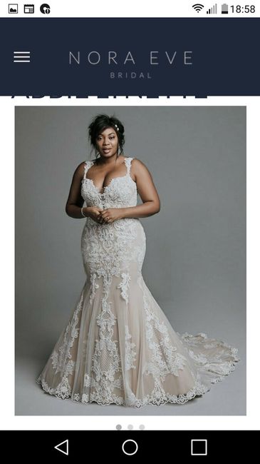 i chose my dress! - 1