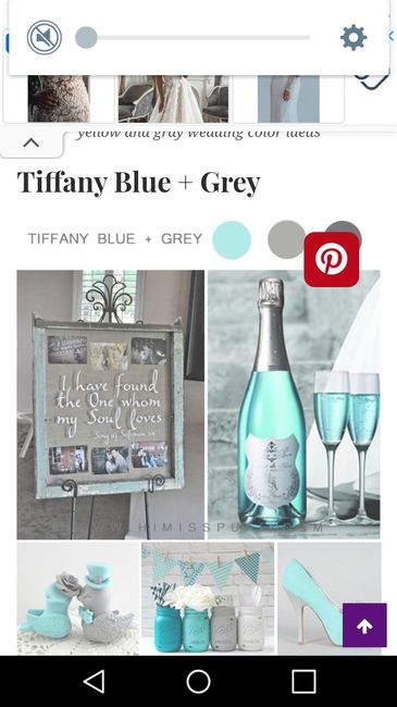 What colour for my family and flowers - 1