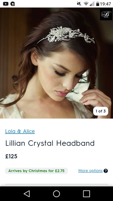 Veil and accessories to match this dress - 1